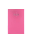 Liz Ajanda Ekonomik Cilt Bezi Çizgili 14x20 CM 2025 Yılı Ajanda (Karışık Renk 1 Adet) thumbnail 6