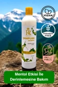 Richie Rich Mentollü Şampuan  Kepek Önleyici ve Ferahlatıcı Bakım İçin Avantajlı Boy (700 ml) - 2