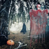 Led Işıklı Kahkaha Atan Sesli Sensörlü Ürpertici Kuru Kafa Kanlı Korku Hayalet Saçaklı Dekor 90x50 cm thumbnail 2