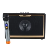 SHILE SD-1 EL MİKROFONLU KUMANDALI USB+SD+BT SEYYAR PORTATİF ANFİ - 1
