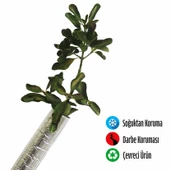 Fidan Koruyucu Folyolu Boru 6 mt (S) - 1