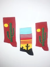 3 Çift Kaktüs Temalı Unisex Soket Çorap kak3 - 1