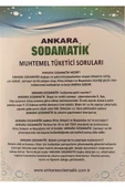 ankara sodamatik 3000 Gr - 3