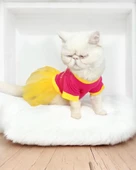 PINK Love Mom Tütülü Kedi Elbisesi, Kıyafeti Tutu - 6