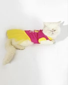 PINK Love Mom Tütülü Kedi Elbisesi, Kıyafeti Tutu - 5