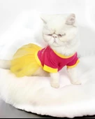 PINK Love Mom Tütülü Kedi Elbisesi, Kıyafeti Tutu - 2