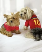 Uno Red Köpek Tişörtü - 2