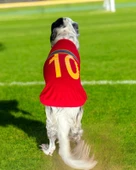 Uno Red Büyük Irk Köpekler İçin Tişört - 1