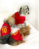Uno Red Büyük Irk Köpekler İçin Tişört - 6