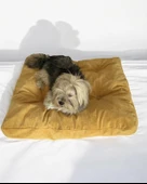 POUCHIE HARDAL Kedi Köpek Minderi 80 X 65 CM - 4