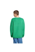 adidas KNIT CREWNECK Erkek  Sweatshirt JN5966 - 5