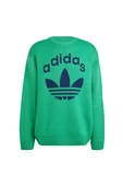 adidas KNIT CREWNECK Erkek  Sweatshirt JN5966 - 1