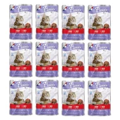 Plaisir 100Gr Pouch Beef and Dinde Sığır Hindi Etli 12Adet Kedi Maması thumbnail 1