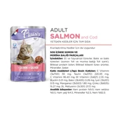 Plaisir 100Gr Pouch Salmon and Cod Somon Morina Etli 1Adet Kedi Maması - 3
