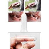 Kedi Köpek Diş Temizleme Fırçası - 2