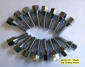 Bijon Takımı Krom Kaplı M12x1.75 - Aa:17mm Diş/boy:28/55mm, 16 adet bijon - 2