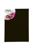 Ceo Art 35x50 Siyah Tuval - 1