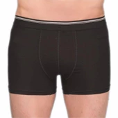 Berrak 1097 Erkek Likralı Esnek Boxer 2 Adet  Siyah 3XL thumbnail 1