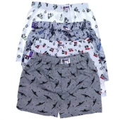 Sedef Yıldızı Erkek Çocuk Desenli Boxer 1037 - 6 Adet   Karışık Renk 4 (7-8 YAŞ) thumbnail 1