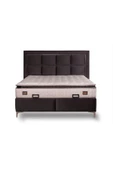 Beauty Sleep Beld Serisi 150*200 Yatak Baza Başlık Seti - 2