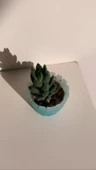 Turkuaz Mavi Üzerine Buğulu Şeffaf Gümüş Glitterli Tırtıklı Sukulent Epoksi Saksı El Yapımı Hediyelik - 5