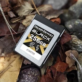 DELKIN BLACK CFEXPRESS TYPE B 4.0 MEMORY CARD 256GB - 3