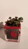 Kırmızı Renk Kum Ve Kurutulmuş Yaprak Süslemeli Kare Şekil Epoksi Sukulent Saksı El Yapımı Hediyelik - 4