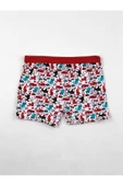 Gümüş Kız Çocuk Desenli Likralı Boxer 3072 - 6 Adet  Karışık Renk 2 (3-4 YAŞ) thumbnail 5