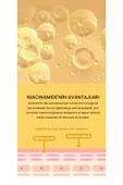 BISPACK,Niacinamide Içeren Morluk Karşıtı Göz Kremi - 3