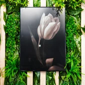 Magic Home Fester Tomurcuk Lale 50 X 70 Tablo 031 - 1