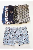 KOTA Erkek Çocuk Desenli Boxer 12 Adet - 1013  Karışık Renk 6 (11-12YAŞ) thumbnail 2