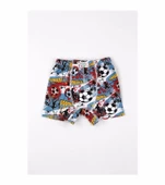 Gümüş Erkek Çocuk Likralı Emprime Desenli Boxer 3089 - 6 Adet  Karışık Renk 4 (7-8 YAŞ) thumbnail 4