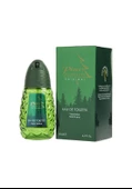 Pino Silvestre Edt 125 Ml Erkek Parfüm - 1