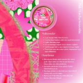 Pink Matcha - Pembe Superfood Matcha Tozu 100 gr thumbnail 3