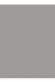 BİANCA STELLA VİZON GRİ 1 LT - 2