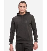 Puma ESS Big Logo Hoodie Erkek Sweatshirt 58668807 - 3