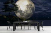Ay ve Gece Manzarası Duvar Kağıdı - 5