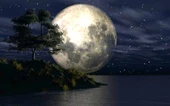 Ay ve Gece Manzarası Duvar Kağıdı - 7