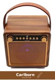 Yüksek Sesli 10W Güçlü Usb Sd Aux Kablosuz Ayarlı Mikrofonlu Ledli Taşınabilir Bluetooth Hoparlör - 3