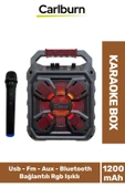 Yüksek Ses Şarj Edilebilir Aux Usb Hafıza Kart Girişli Kablosuz Hoparlör Mikrofon Siyah Karaoke Box - 1