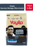Yayla Gurme Beluga Mercimek 500 gr x 8 Adet - 1