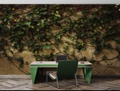 Sarmaşık ve Duvar Temalı Duvar Kağıdı thumbnail 4