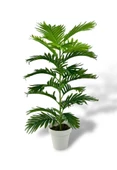 Nettenevime Yapay Çiçek Tropik Areka 80cm 23 Yapraklı Salon Çiçeği Beyaz Saksılı Yapay Bitki thumbnail 7