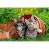 Ravensburger 2 Adet 12 Parçalı Puzzle Yavru Kediler Ravensburger 3 Yaş ve Üzeri Çocuk Yapbozları Serisi - 3