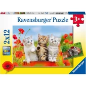 Ravensburger 2 Adet 12 Parçalı Puzzle Yavru Kediler Ravensburger 3 Yaş ve Üzeri Çocuk Yapbozları Serisi - 1