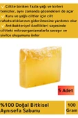 Özel Üretim %100 Doğal Cilt Sorunlarında Etkili Cilt Yüz Saç Vücut Bitkisel Aynısefa Sabunu 5 Adet - 1