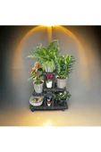 VEHER Ahşap Çam Siyah 4 Katlı Bitki Standı Kilitli Tek. Mini Bahçe Seti My Bead Kokulu Vegan Mum 50 Cc - 3
