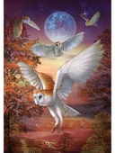 Art Puzzle Ayışığı Baykuşları - 1000 Parça 5273 - 2