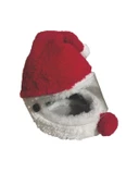 Jiekai K114 KEDİ VE KÖPEK KASKI Mod5 Noel Baba - 1