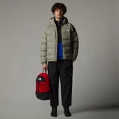 The North Face M Hydrenalite Down Hoodie Erkek Mont thumbnail 2
